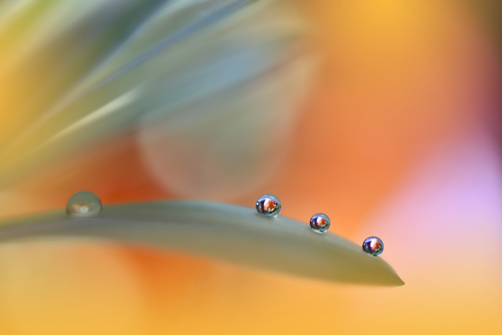 A Colorful World...III von Juliana Nan