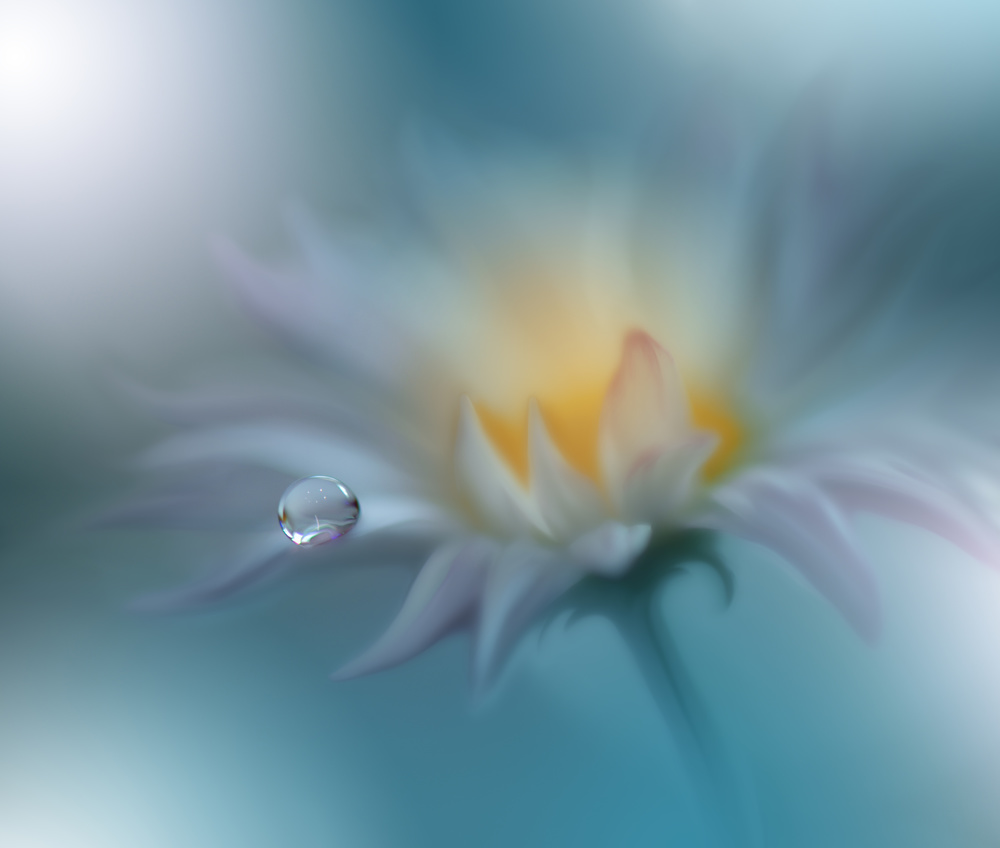 Memories of Sea..II von Juliana Nan