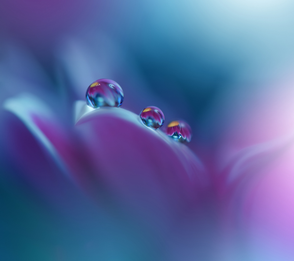 Memories of Sea..III von Juliana Nan