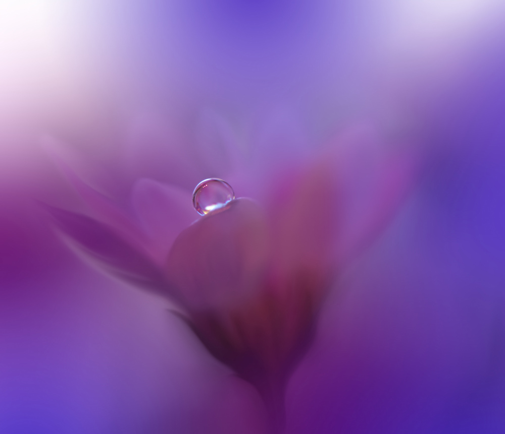 Colors of Love...III von Juliana Nan