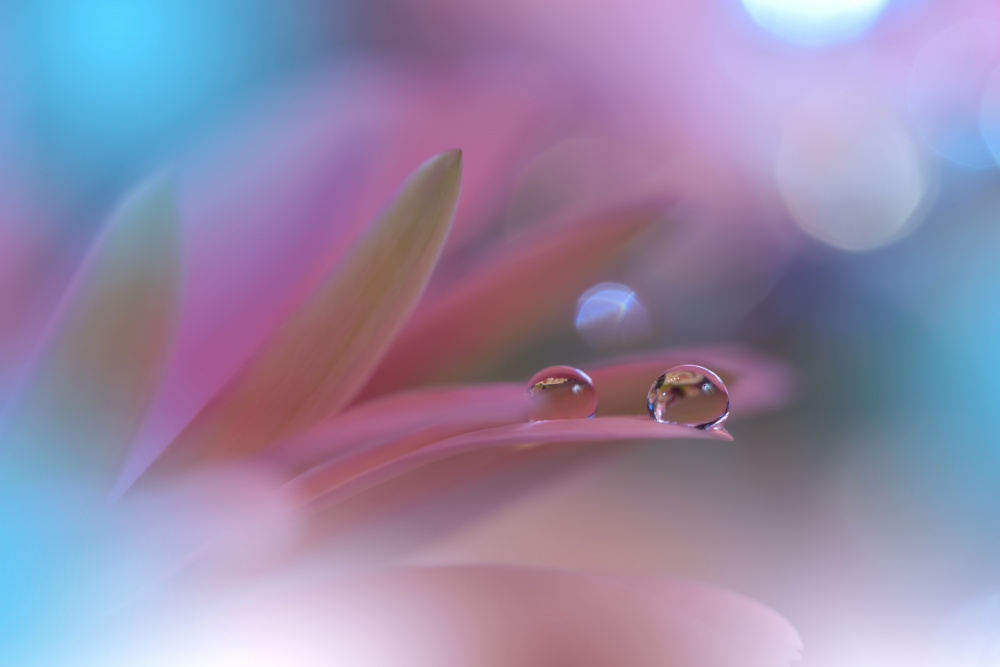 In a Moment of Time... von Juliana Nan