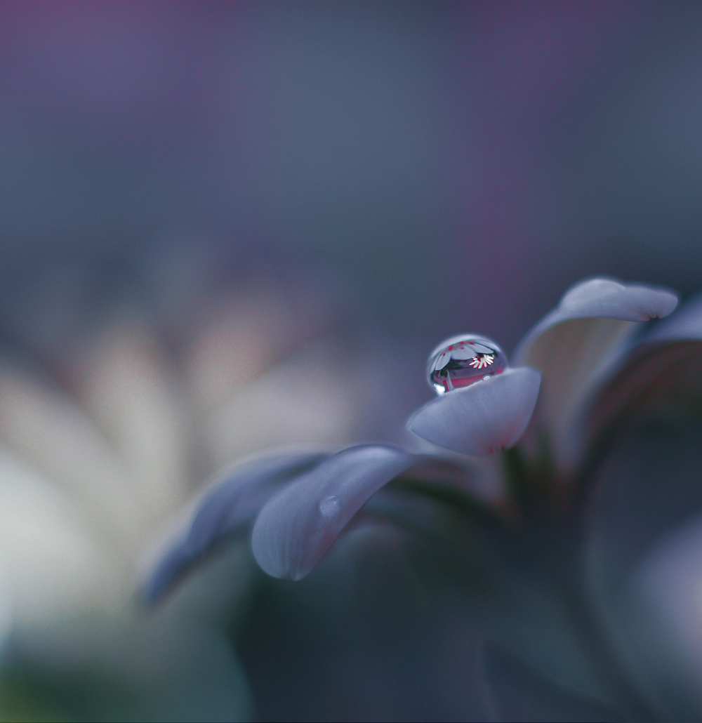 Invisible Soul... von Juliana Nan