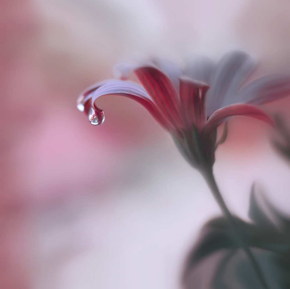 Invisible Touch... von Juliana Nan