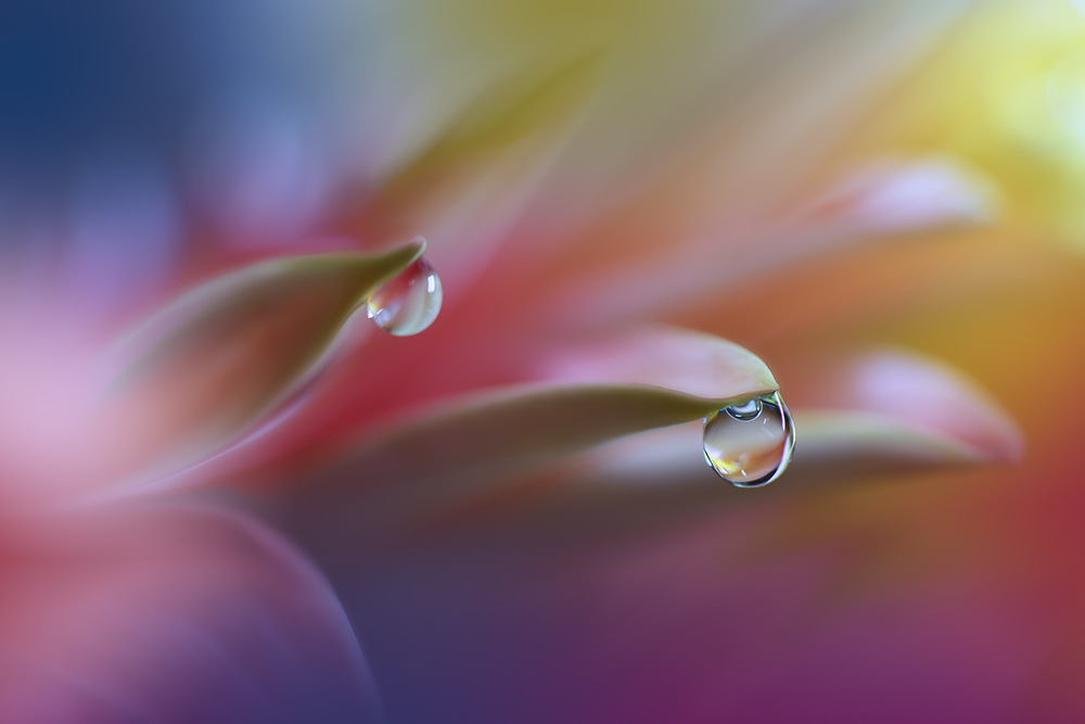 Sound Of Colors... von Juliana Nan