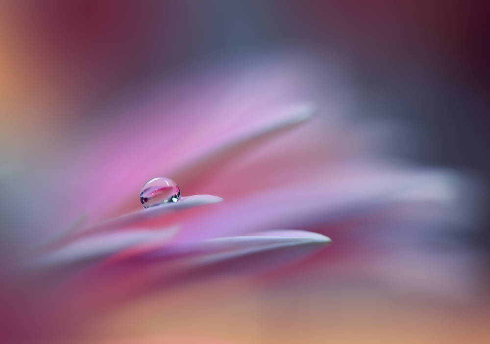 Sound Of Colors.. von Juliana Nan