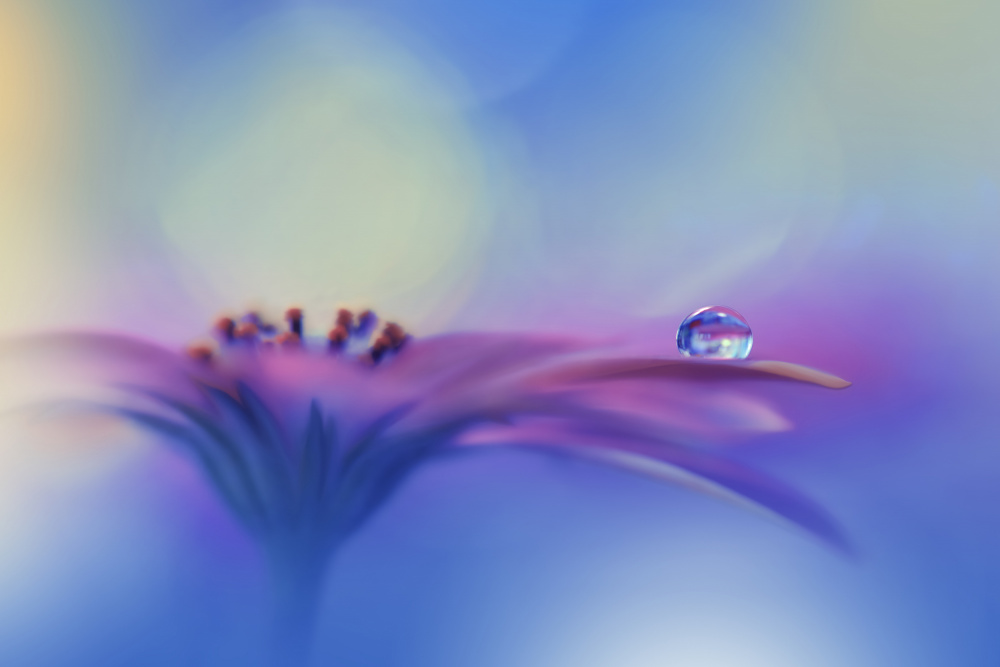 Shining Sky...II von Juliana Nan