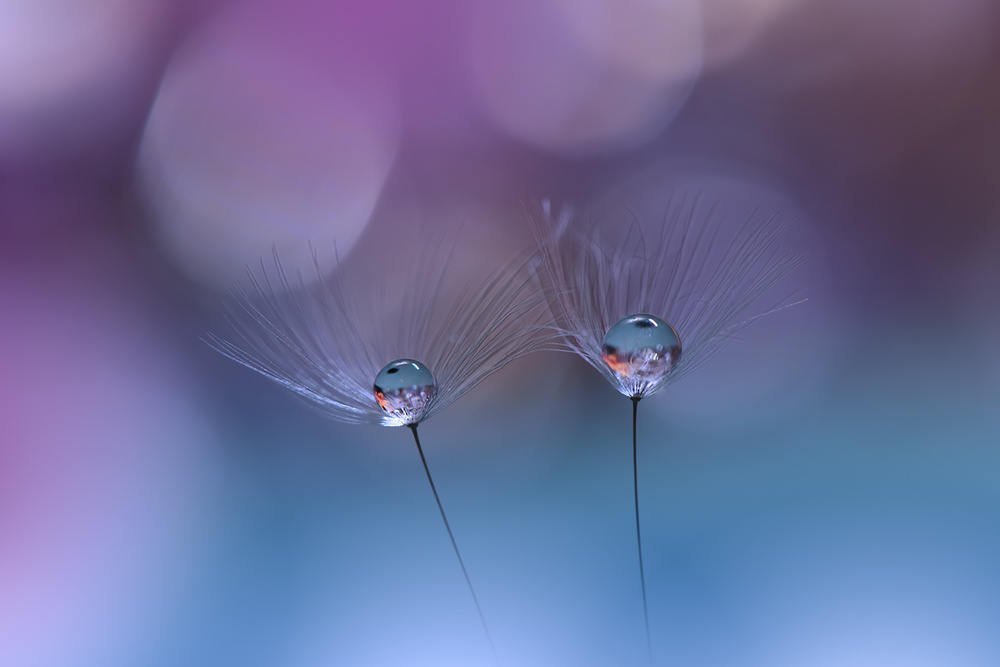 ~o~o~ von Juliana Nan