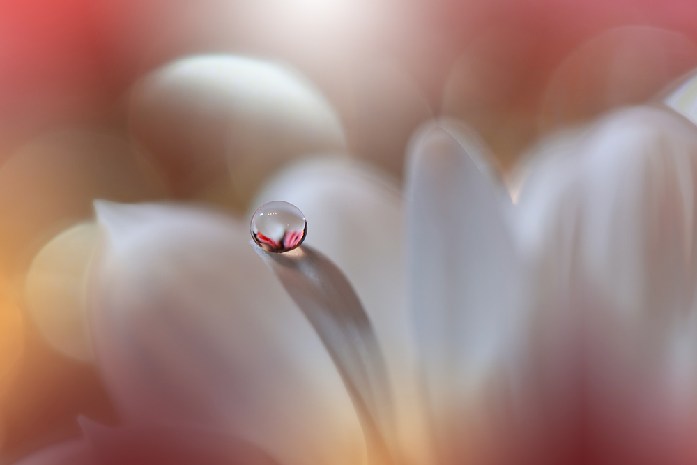 Enigma.. von Juliana Nan