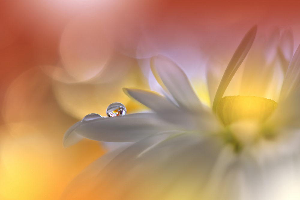 Dancer in My Mind...II von Juliana Nan