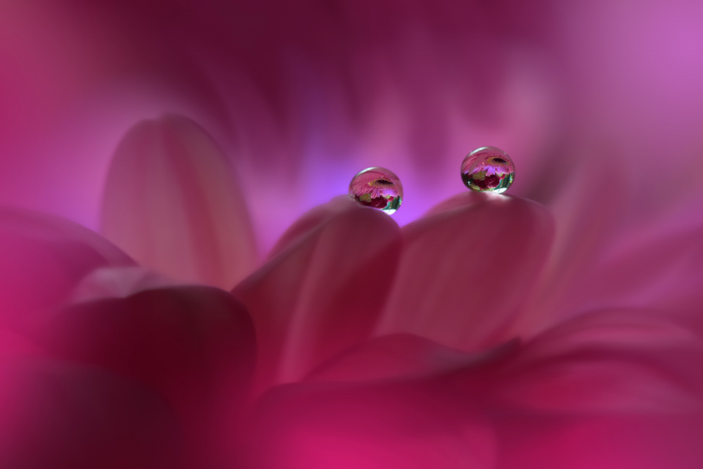 Immortal Love...II von Juliana Nan