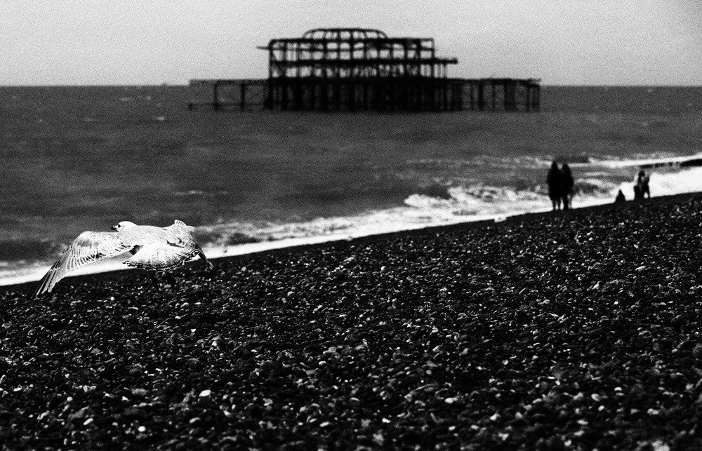 Brighton romance von Julien Oncete