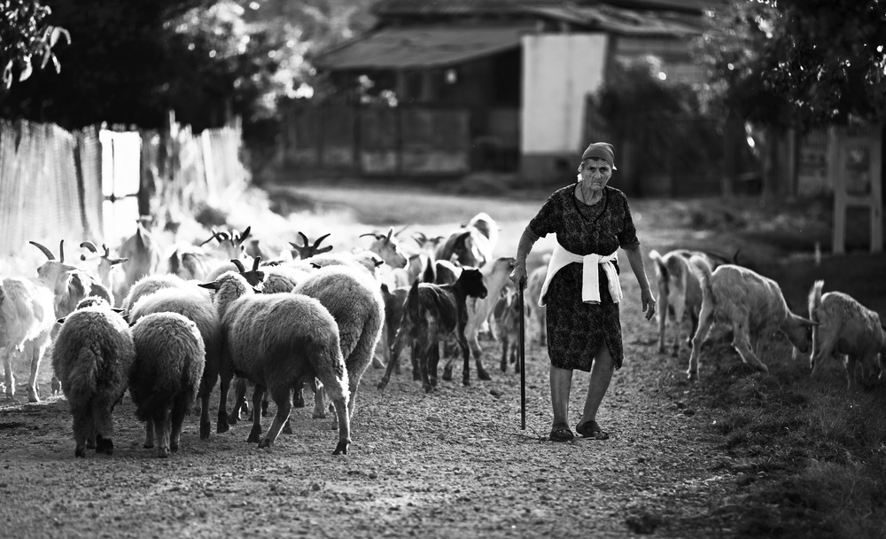 Mihaesti village von Julien Oncete