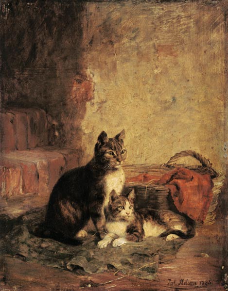 Cats von Julius Adam