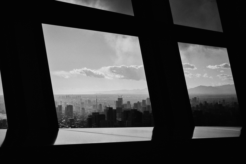 City in the fence von Jun Suzuki