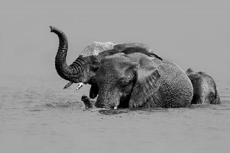 Crossing The River