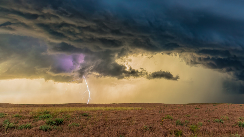 The Storm von Jun Zuo