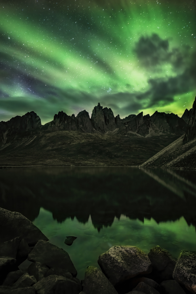 A Green Night von Jun Zuo