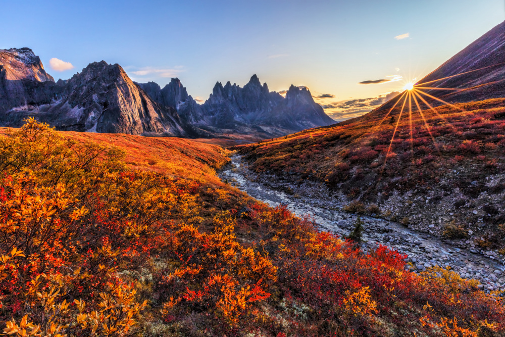 Fall Color von Jun Zuo