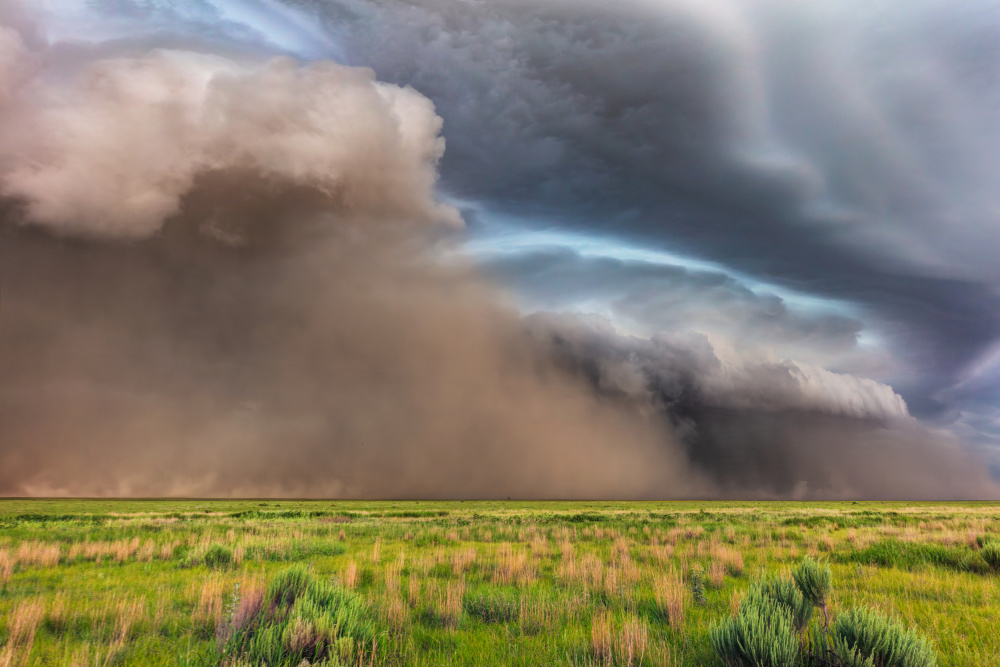 Dust Storm von Jun Zuo