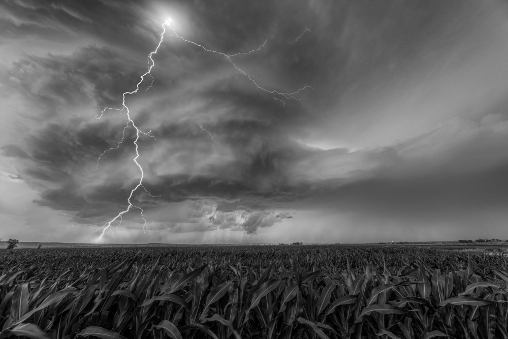 Supercell von Jun Zuo