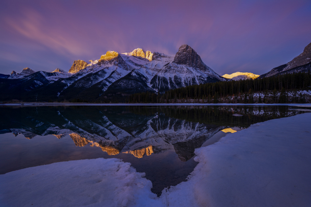 Winter Morning von June Tan