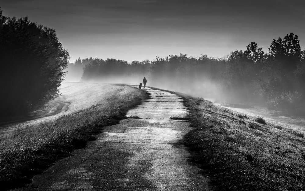 Autumn morning von Juraj Cisár