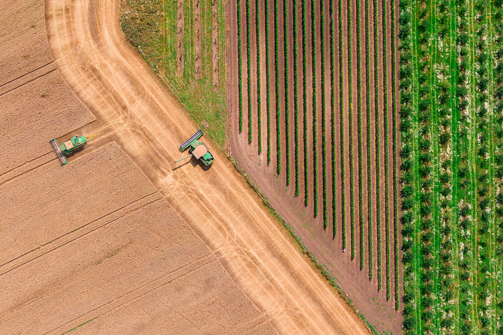 Fields geometry von Jure Kravanja