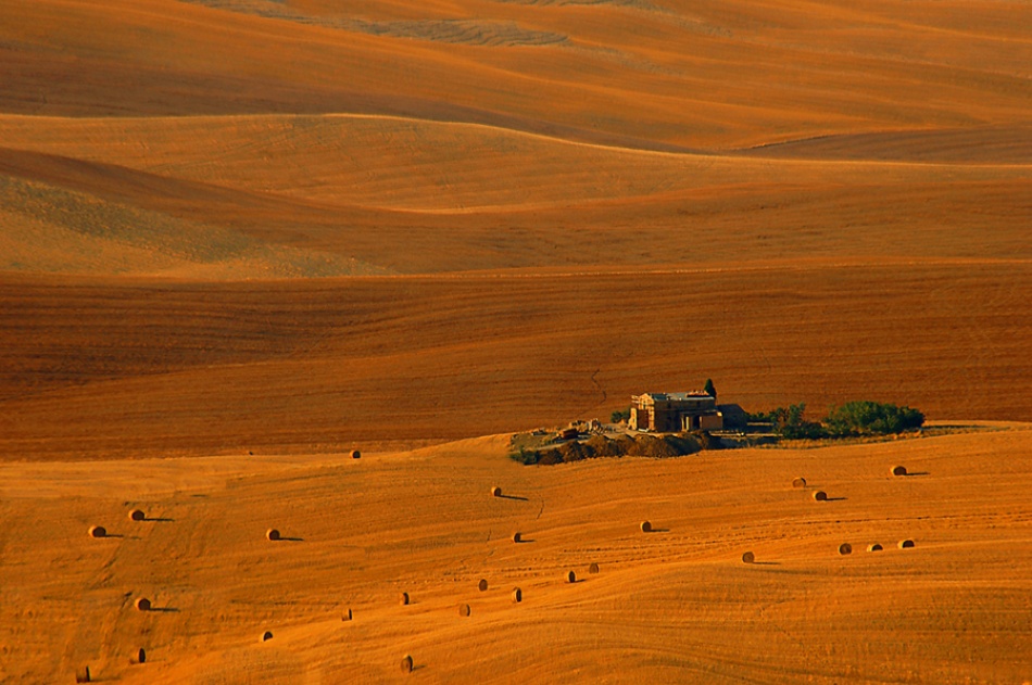 Gold horizon von Jure Kravanja