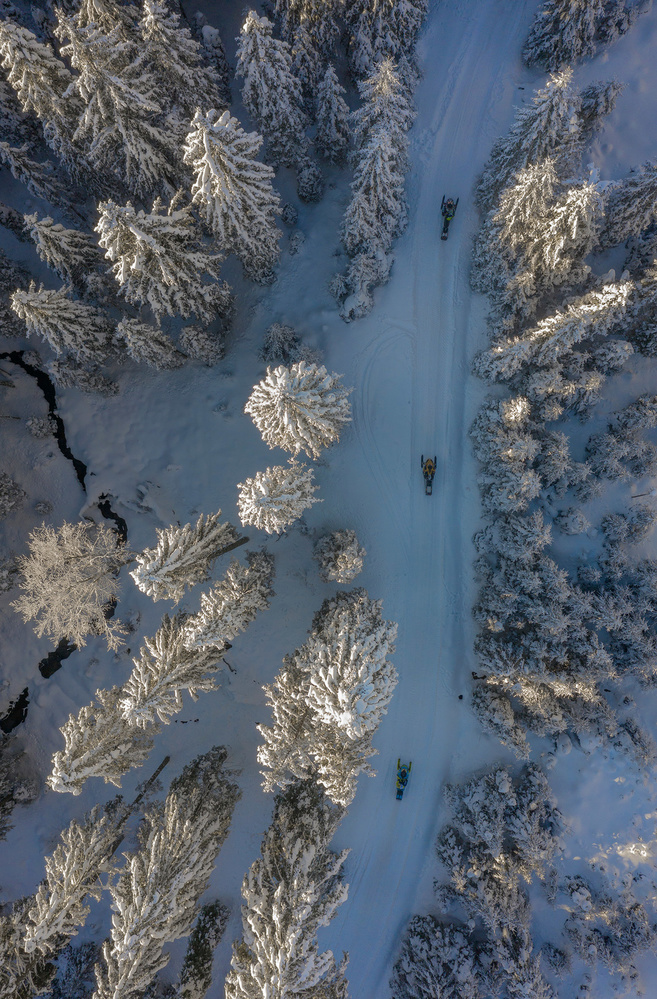 Pohorje, Slovenia von Jure Kravanja