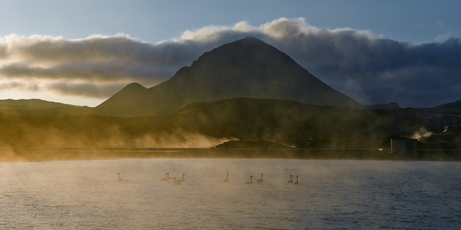 Swan lake von Jure Kravanja