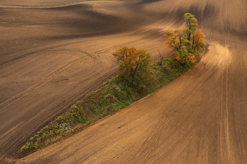 South Moravia von Jure Kravanja