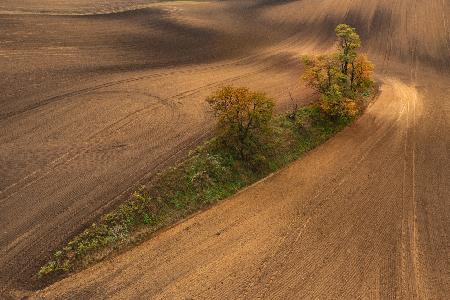 South Moravia