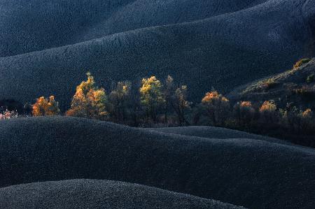 Tuscany