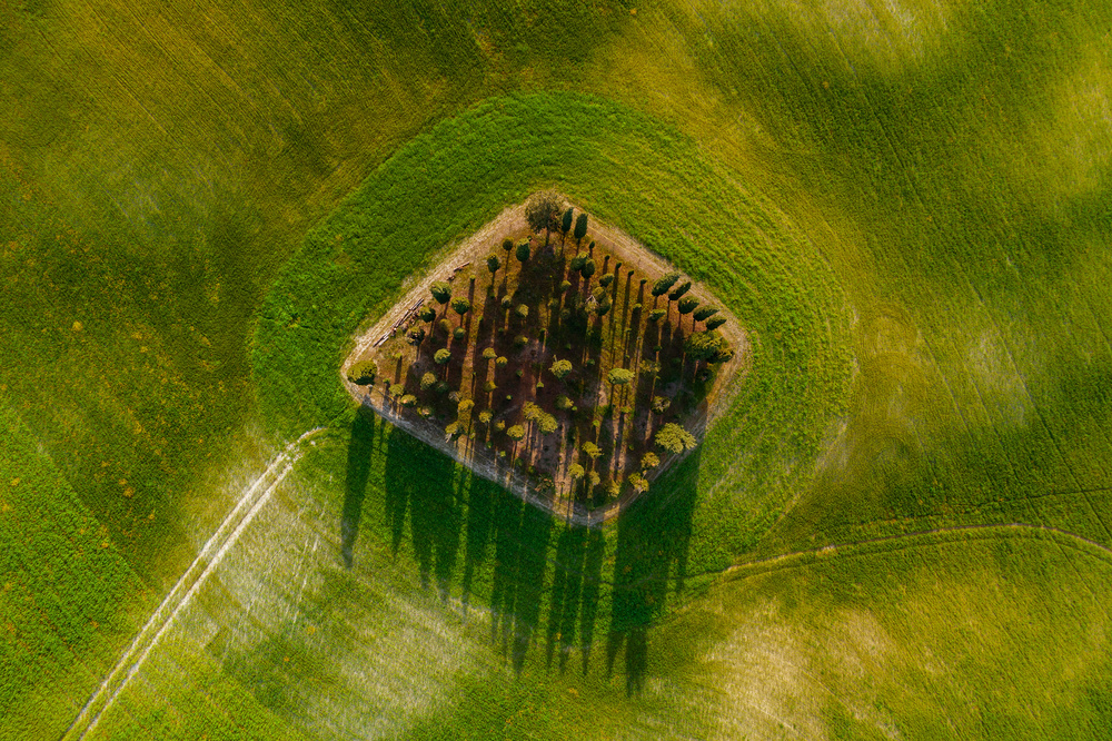 Bird eye von Jure Kravanja