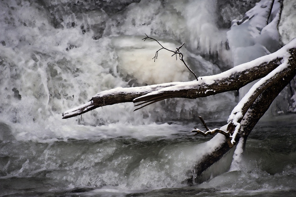 Winter von Jure Kravanja