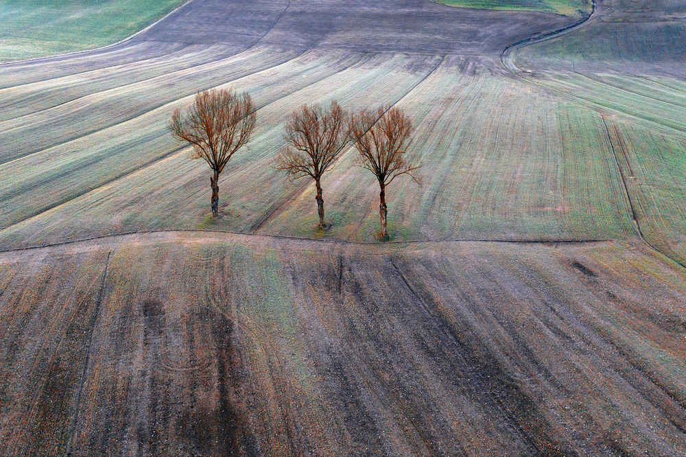 Winter in Tuscany von Jure Kravanja