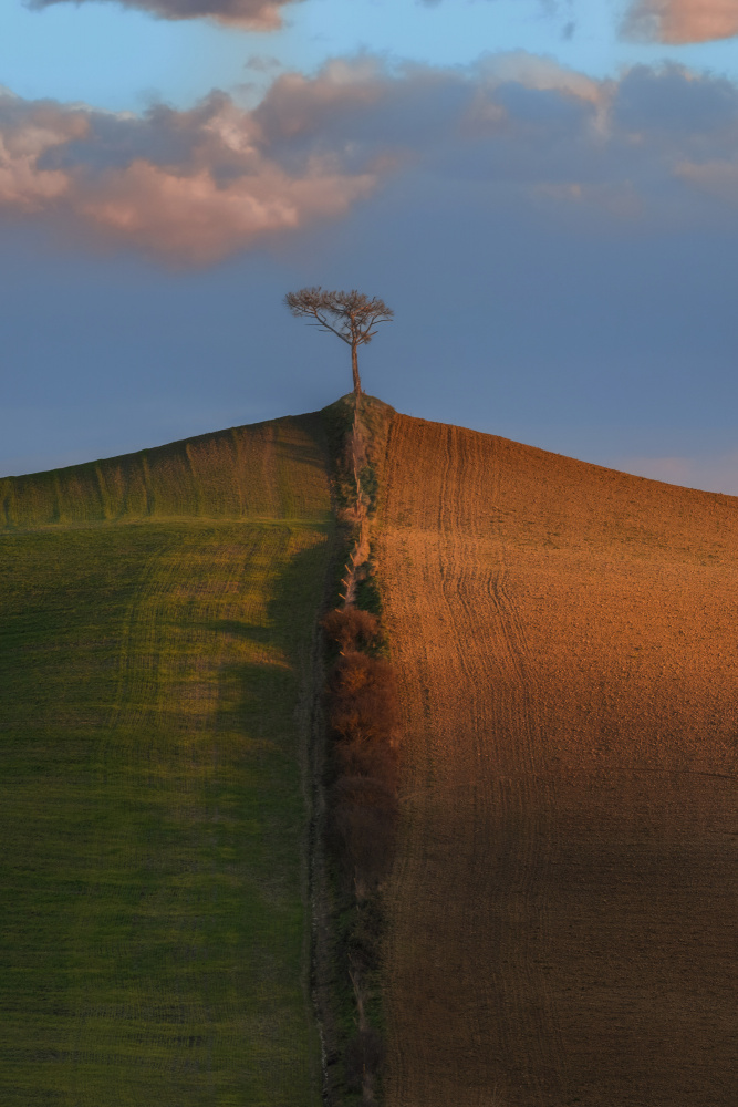 To each side von Jure Kravanja