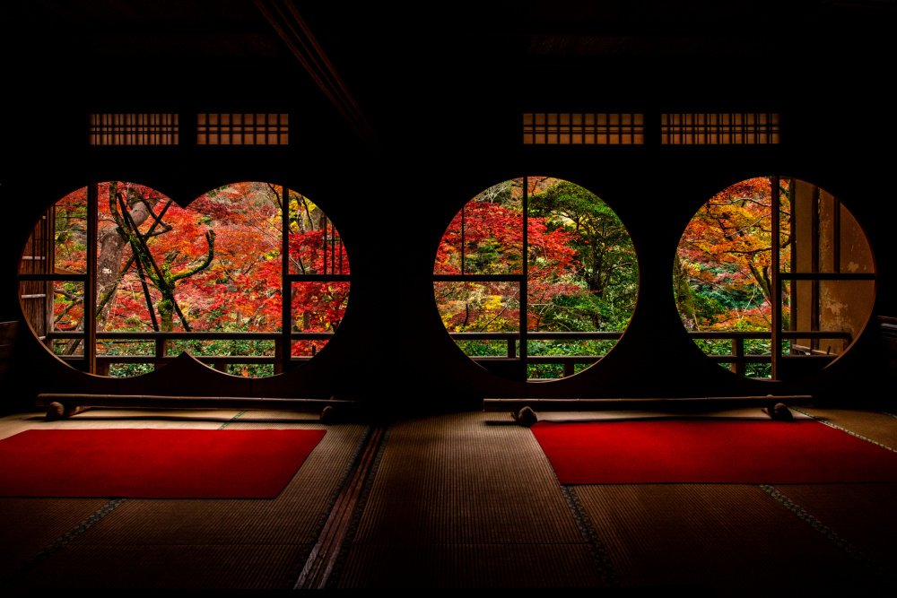 Autumn leaves von Juri Aoki