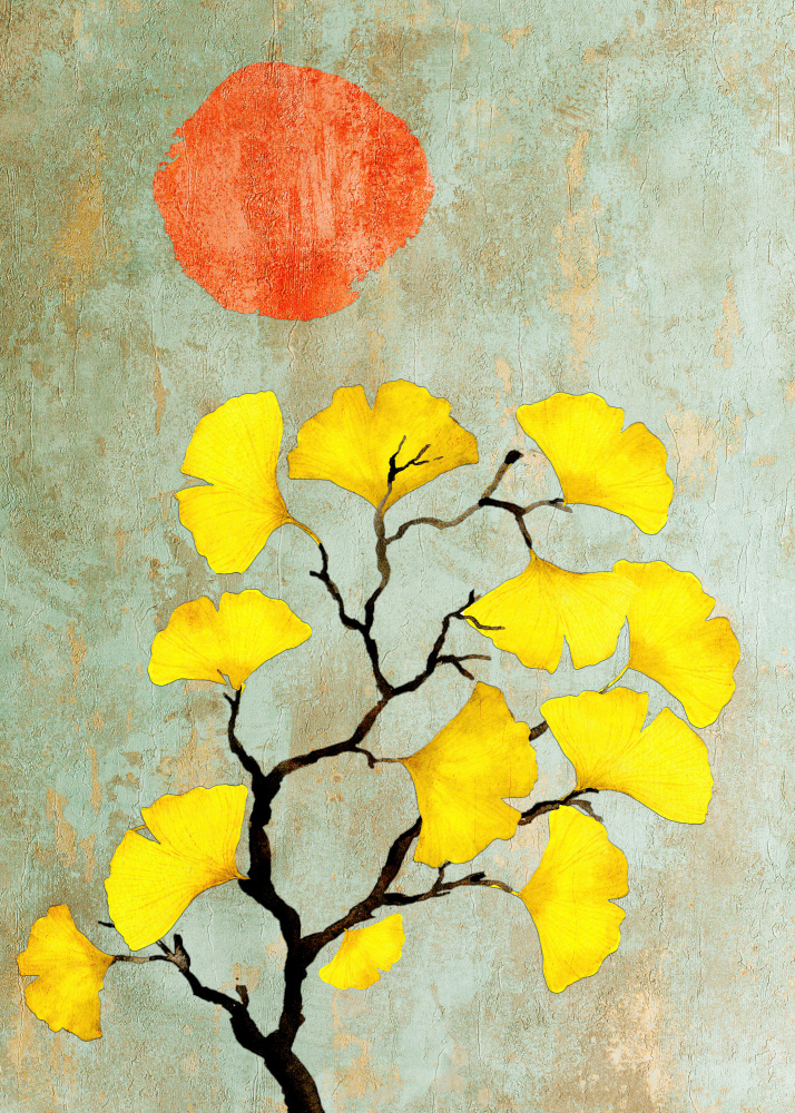 Ginko biloba and sun von Justyna Jaszke