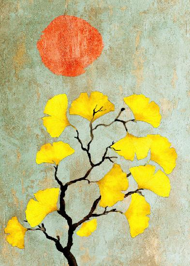 Ginko biloba and sun