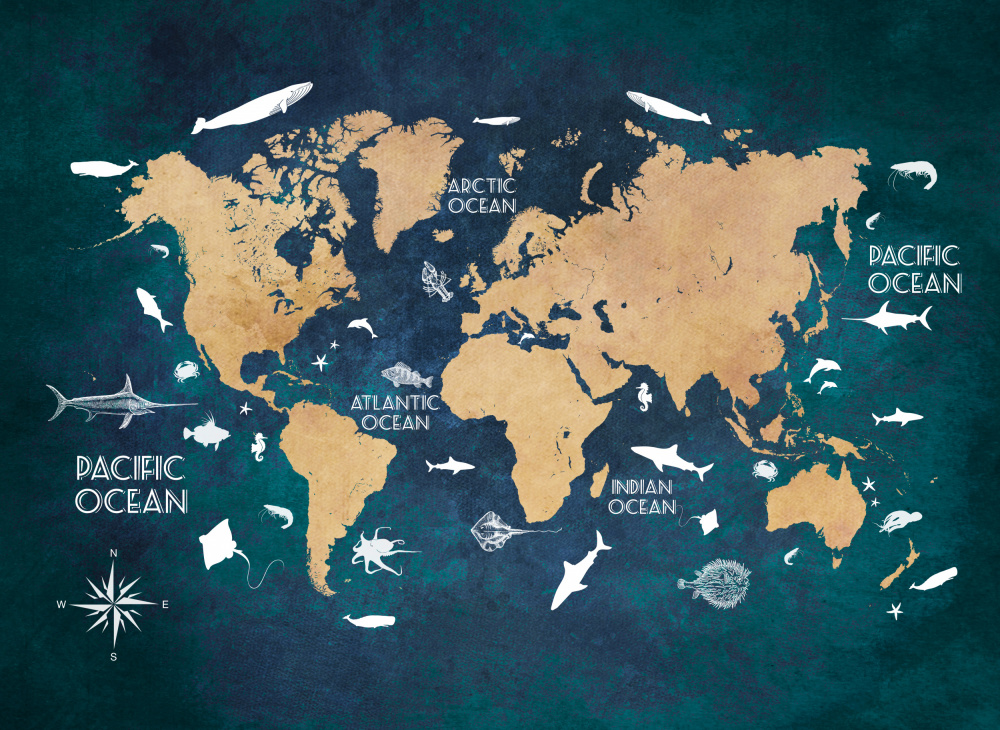 World map 3 von Justyna Jaszke