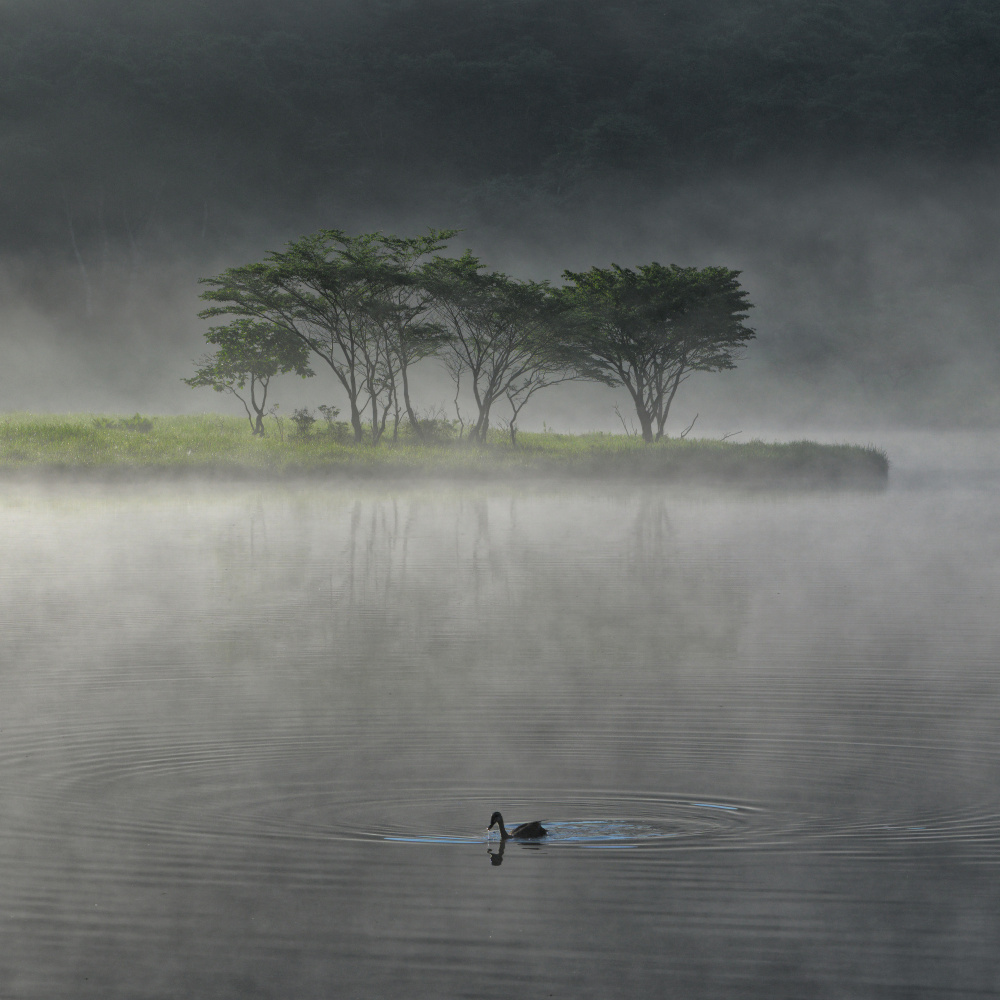 A morning shrouded in mist von K_Tsunoda