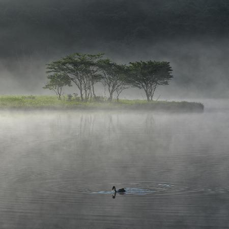 A morning shrouded in mist