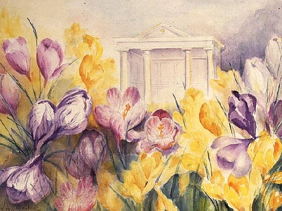 Hinton Ampner Crocus  von Karen  Armitage