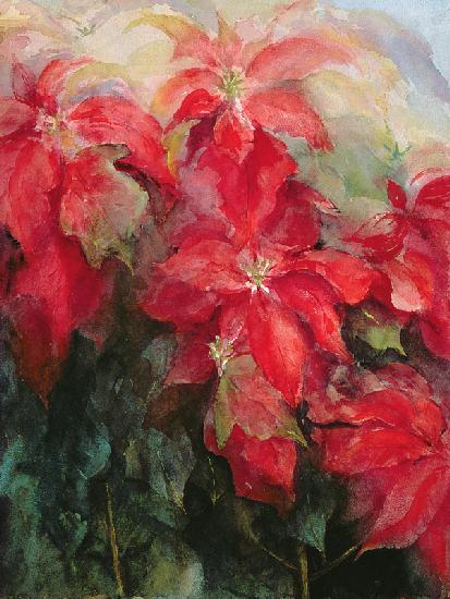 Red Poinsettias 