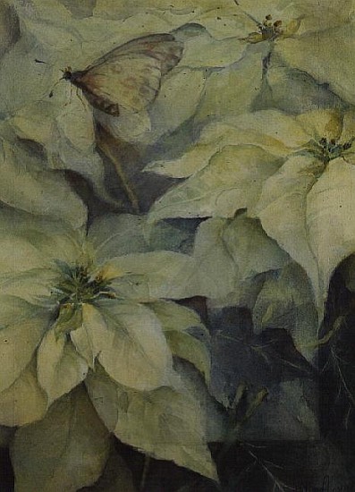 White Poinsettia with a butterfly (vertical)  von Karen  Armitage