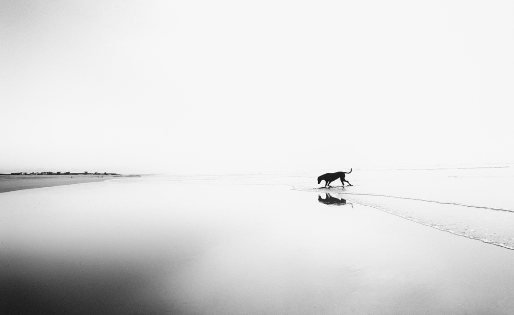 Lifes a beach von Karen Van Eyken