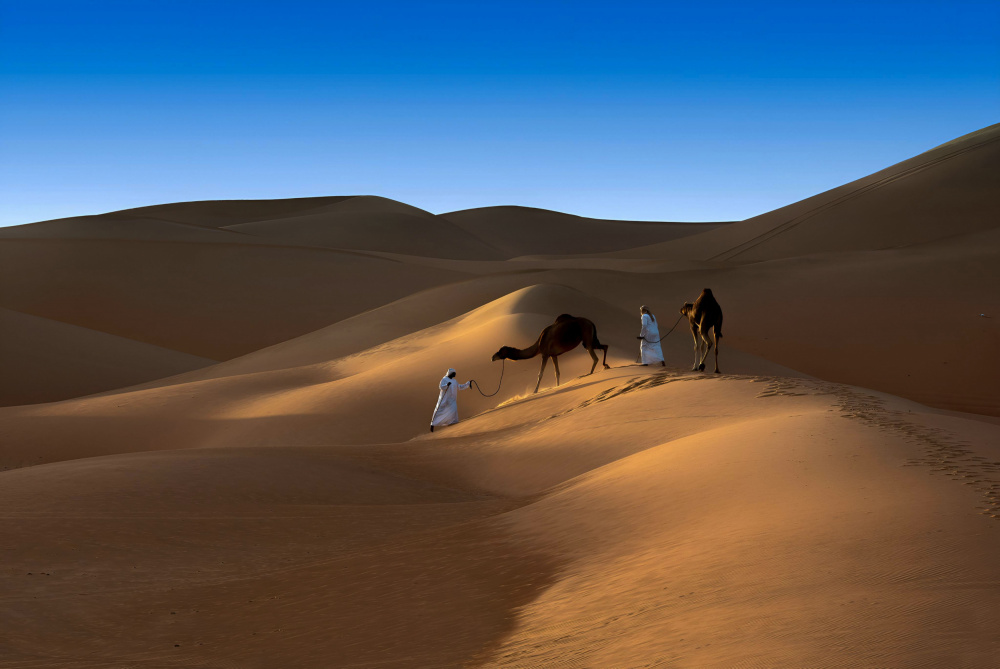 Liwa desert von Karim Al Thahaby