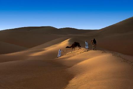 Liwa desert