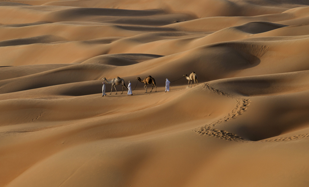 Liwa desert UAE von Karim Al Thahaby